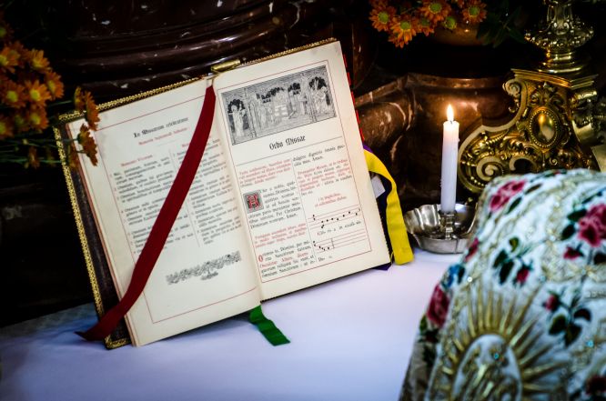 image:Image 72/source/orig/71258_dsc5874.jpg