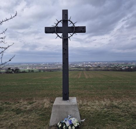 image:Image 72/source/orig/71766_55260_0_250323-svedske-sance-scaled.jpg