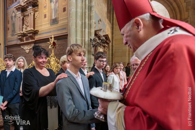 image:Image 73/source/orig/72346_frne4475.jpg