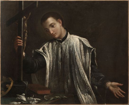 image:Image 73/source/orig/72792_sv-alois-gonzagafcfc.jpg