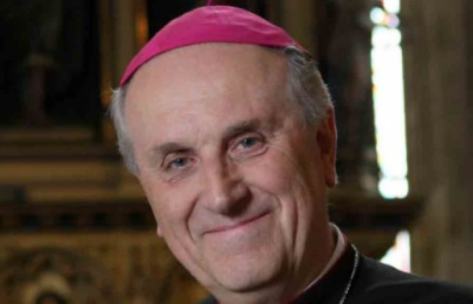 image:Image 74/source/orig/73036_10196.jpg