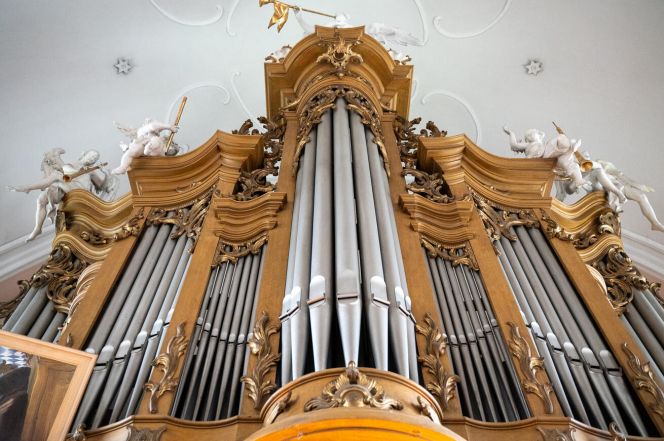 image:Image 74/source/orig/73368_57306_0_pulhodina-s-varhanami-ivana-buzkova.jpg