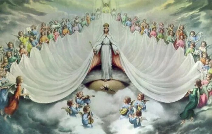 image:Image 74/source/orig/73893_14638-11685-0-porciunkule-ezgif-com-webp-to-jpg-converter.jpg