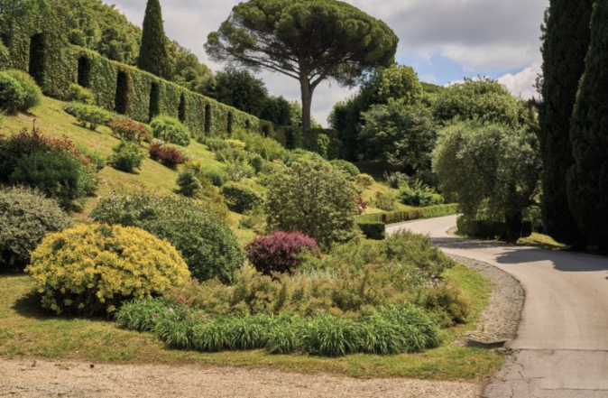 image:Image 75/source/orig/74354_snimek-obrazovky-2025-08-08-v-8-27-09.png