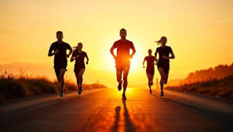 image:Image 75/source/orig/74479_images-23.jpg