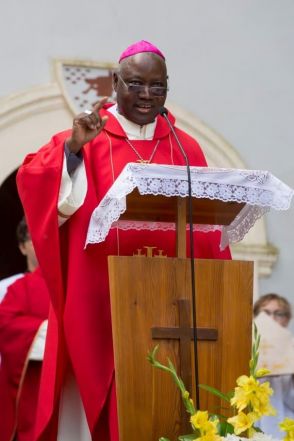 image:Image 75/source/orig/74536_58641_0_nigerijsky-arcibiskup.jpeg