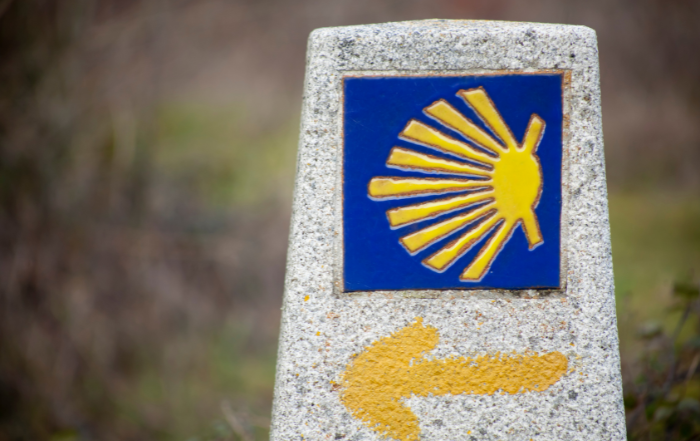 image:Image 75/source/orig/74753_nahledovka-na-web-5.png