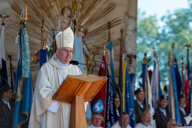 image:Image 75/source/orig/74994_lis7286.jpg