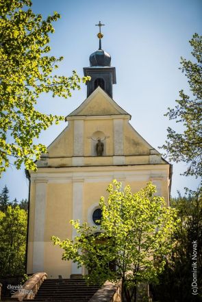 image:Image 76/source/orig/75798_60070_0_provodov-1.jpg