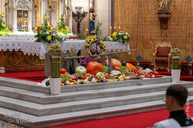 image:Image 77/source/orig/76011_60226_0_jp-08120.jpg