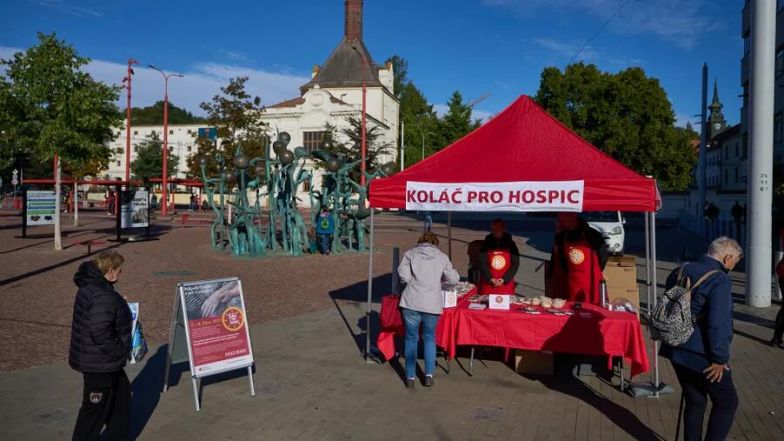 image:Image 78/source/orig/77482_61787_0_kolac-11.jpg