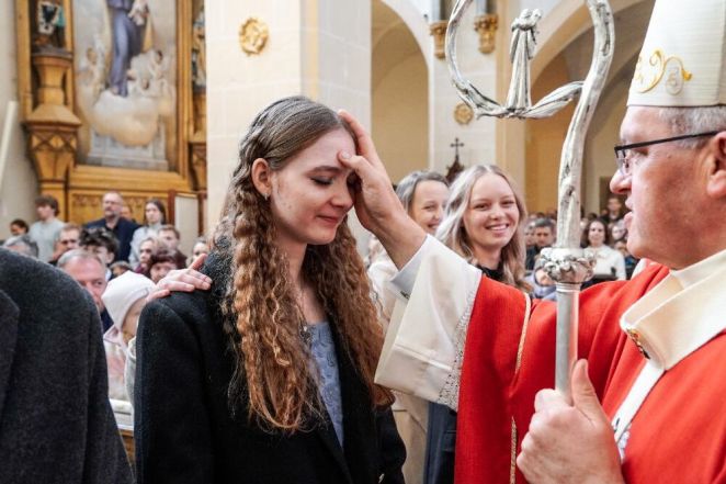 image:Image 78/source/orig/77728_62156_0_birmo-1.jpeg