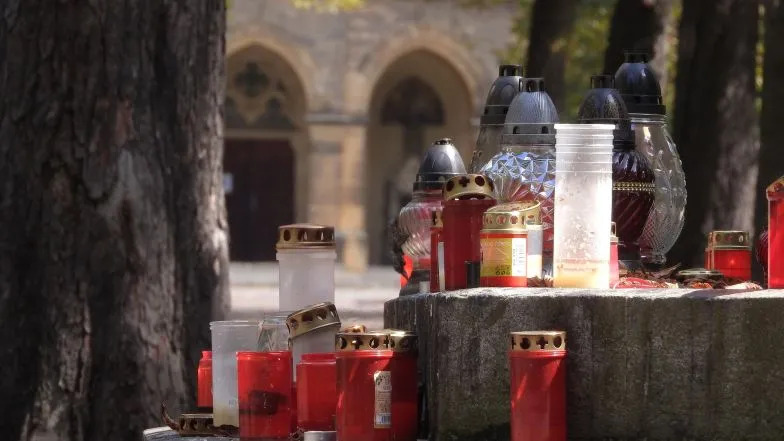 image:Image 78/source/orig/77731_18327-dusicky.jpg