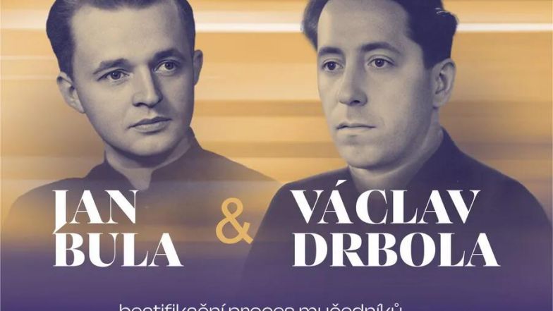 image:Image 78/source/orig/77768_62193_0_bd.jpg