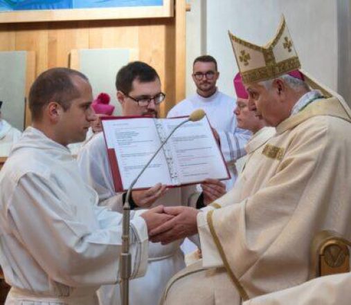 image:Image 78/source/orig/77978_62555_0_stv_1074-400x348.jpg