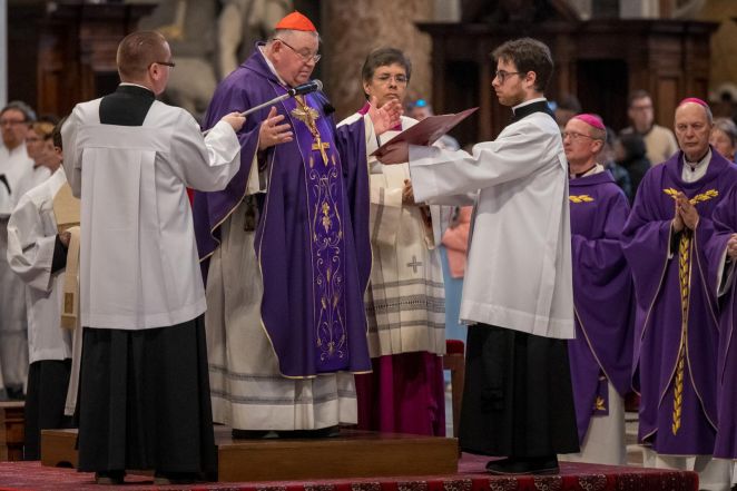 image:Image 79/source/orig/78041_whatsapp-image-2025-11-04-at-06-29-23.jpeg