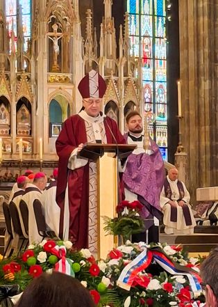 image:Image 79/source/orig/78662_8eb5f203-6c75-49d7-b889-0a9397db158f.jpg