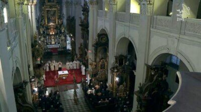 image:Image 79/source/orig/78856_63438_0_-tomas-3-400x222.jpg