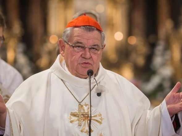 image:Image 8/source/orig/7094_3492_0_1vh2019-04-2815h37m08simg2189-1_cropped.jpeg