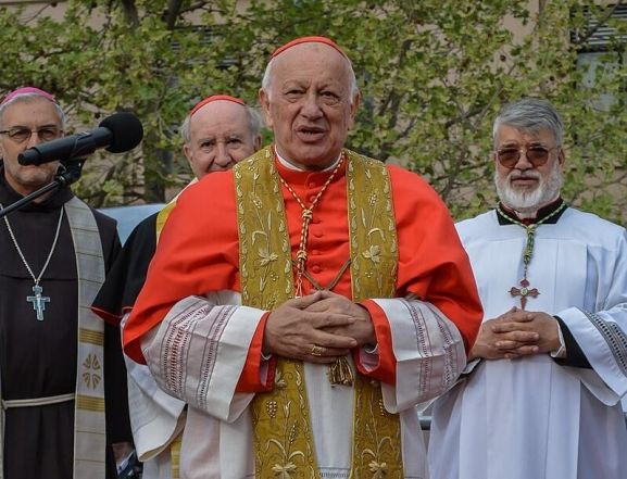 image:Image 8/source/orig/7099_3491_0_800px-procesion-de-la-virgen-del-carmen-2017-ricardo-ezzati-01.jpeg