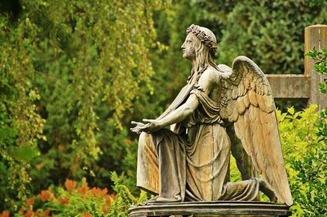 8/source/orig/7187_3453_0_angel-stone-angel-sculpture-grave.jpeg image:Image 8/source/orig/7187_3453_0_angel-stone-angel-sculpture-grave.jpeg