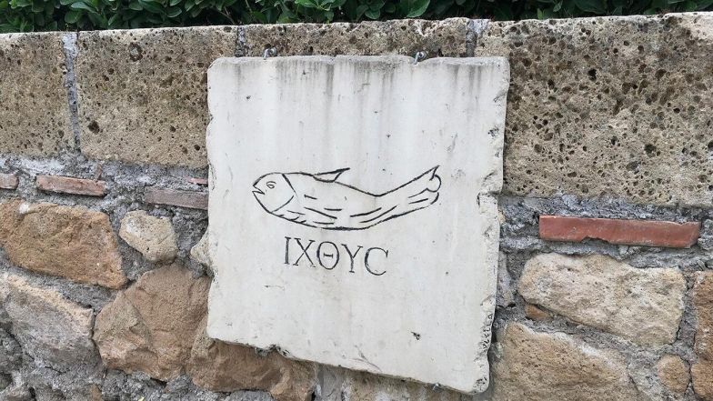 image:Image 8/source/orig/7732_4074_0_844.jpeg