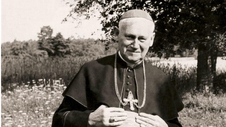 image:Image 8/source/orig/7772_4105_0_skoupy-2_cropped_846x476.png