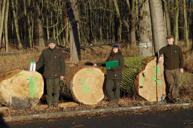 image:Image 8/source/orig/7922_4170_0_220208-alsol-drazba-0.jpg