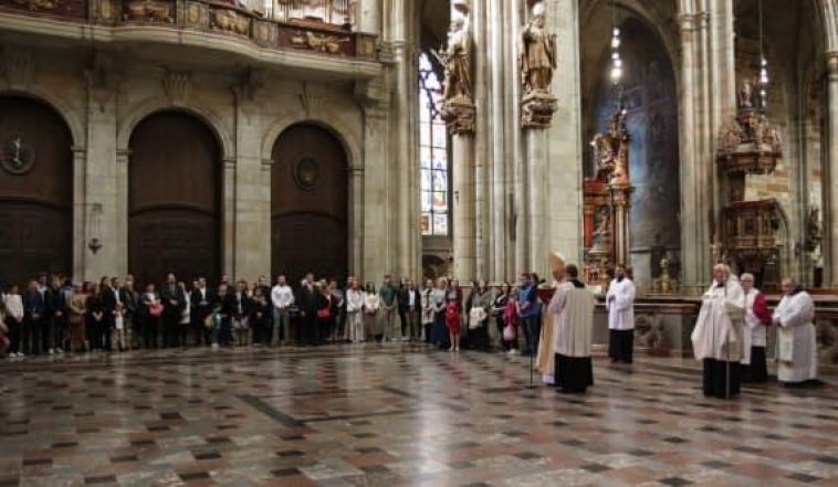 image:Image 80/source/orig/79578_64169_0_ilustracni-foto-dana-saxonbergova-clovek-a-vira.jpg