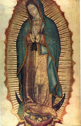 image:Image 81/source/orig/80105_virgen-de-guadalupe1.jpg