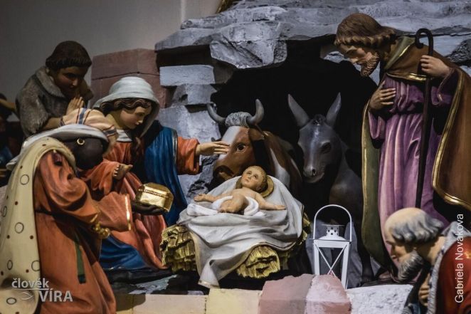 image:Image 81/source/orig/80584_65067_0_gano-7675.jpg