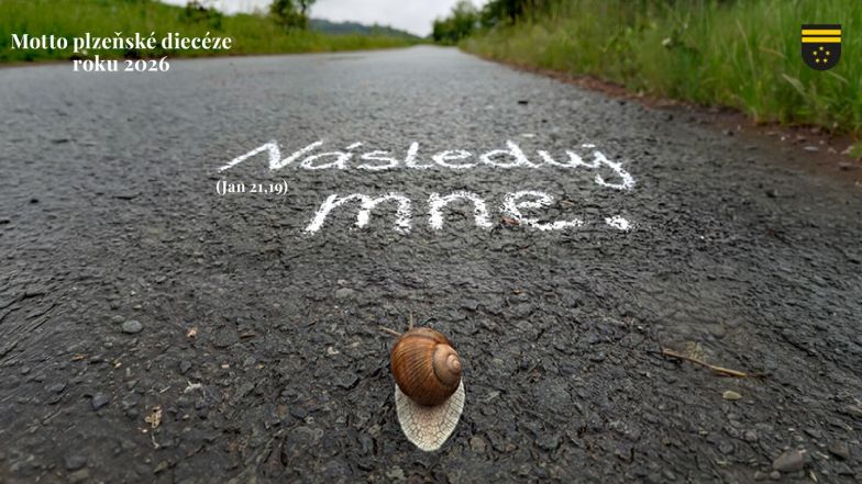 image:Image 81/source/orig/80871_facebook-prispevek-1200x628px-cropped.jpeg