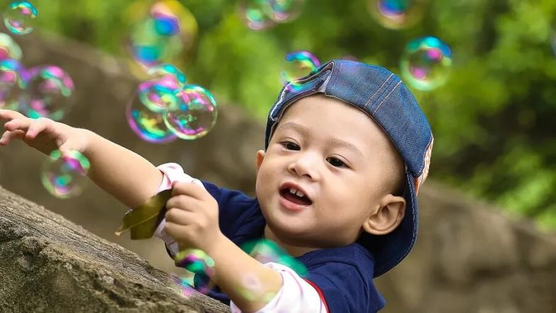 image:Image 82/source/orig/81251_65796_0_jpg.jpg