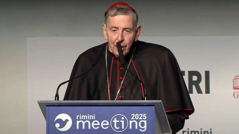 image:Image 82/source/orig/81549_66255_0_844.jpeg