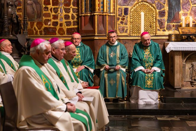 image:Image 82/source/orig/81555_img9885.jpg