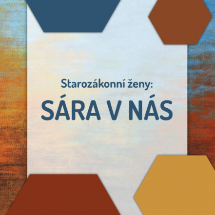 image:Image 82/source/orig/81585_66314_0_snimek-obrazovky-2026-01-22-081150.png