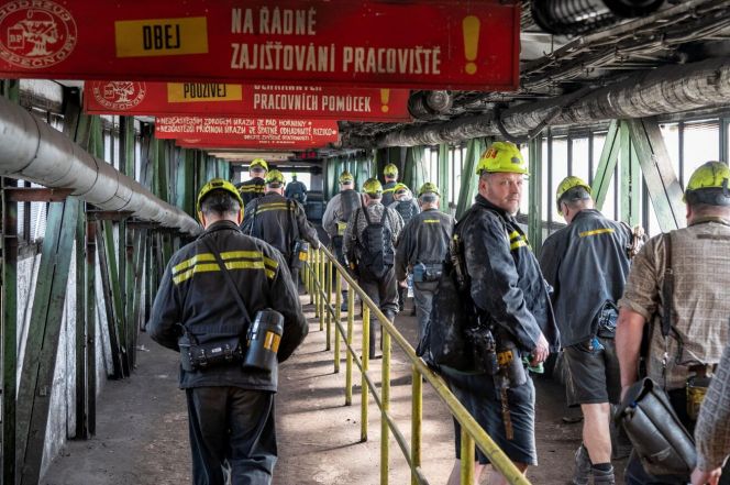 image:Image 82/source/orig/81761_66361_0_1768905130-pv-e-scaled.jpg