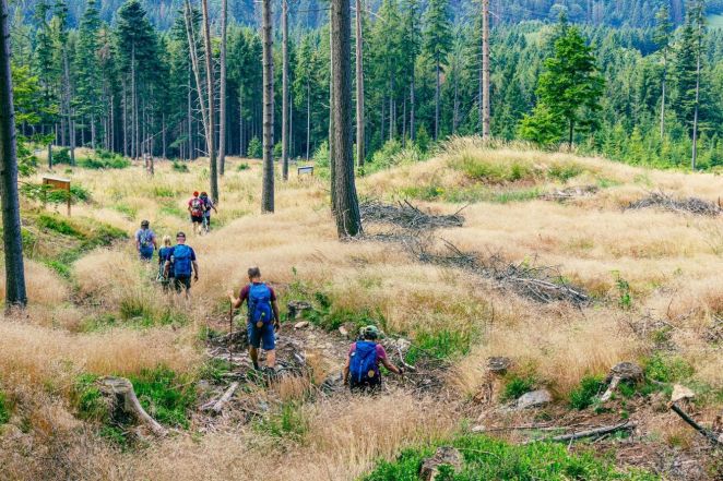 image:Image 83/source/orig/82525_67112_0_r-pollak-pruchod-krajinou-za-mariahilf.jpg