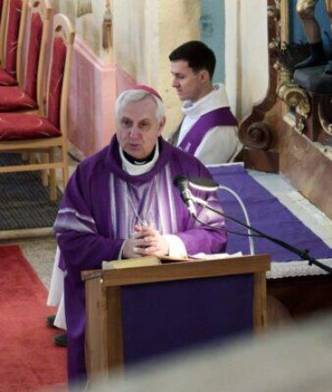 image:Image 84/source/orig/83579_68377_0_stv_3550-1-338x400.jpg