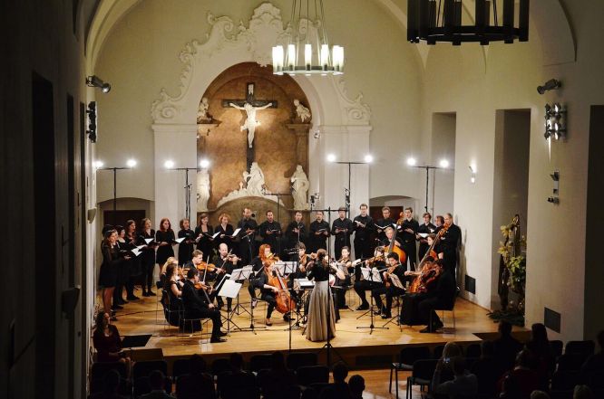 image:Image 84/source/orig/83656_68395_0_dsc-0062.jpg