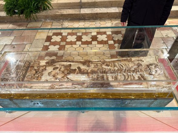 image:Image 84/source/orig/83689_whatsapp-image-2026-03-11-at-12-00-16.jpeg