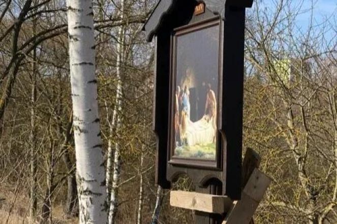 image:Image 84/source/orig/83701_68550_0_jpg.jpg