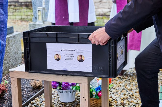 image:Image 85/source/orig/84418_vh2-8930.jpg