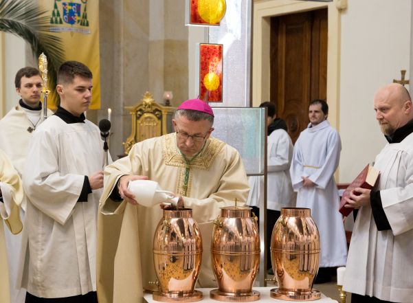 image:Image 85/source/orig/84732_20260402-joci-missa-chrismatis-1853.jpg