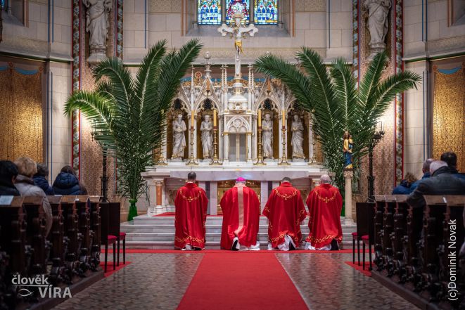 image:Image 85/source/orig/84778_dominiknovakdsc1553.jpg