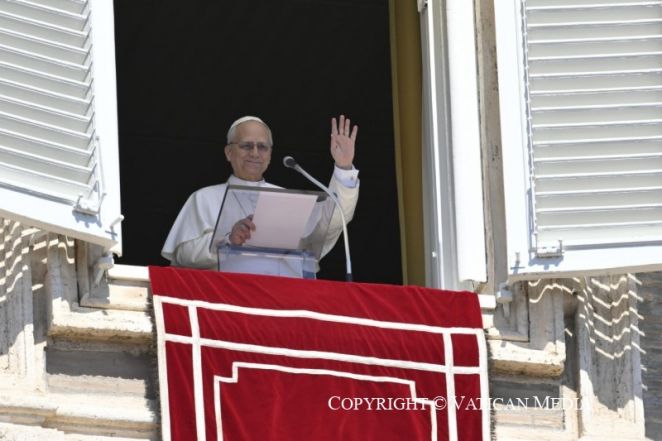 image:Image 85/source/orig/84848_cq5dam-web-800-800-338.jpeg