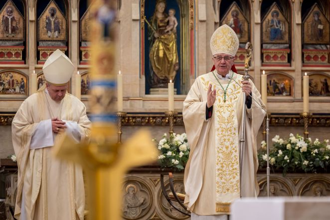 image:Image 86/source/orig/85021_6j5a5631.jpg