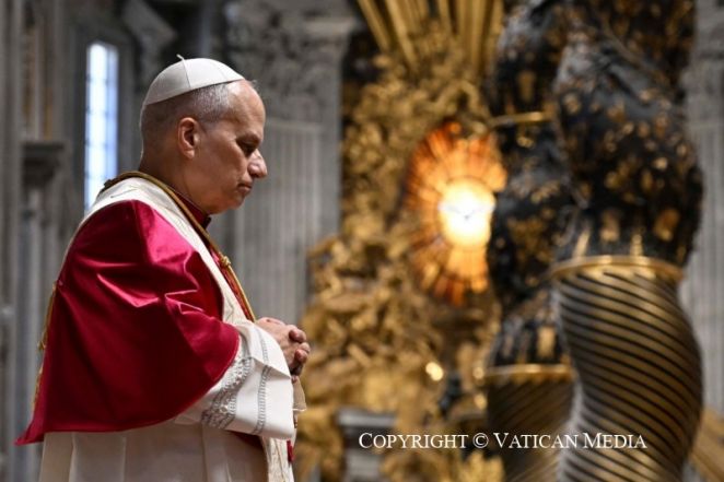 image:Image 86/source/orig/85030_9papez-lev-xiv-vigilie-modlitebni.jpeg