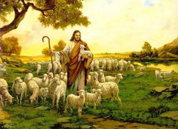 image:Image 86/source/orig/85538_201204291115-4180b957fc-430242-o2.jpg