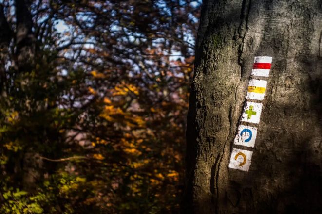 image:Image 88/source/orig/87881_72488_0_pexels-musicfactory-lehmannsound-12746-226659-scaled.jpg